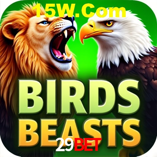 Interface do App 29Bet