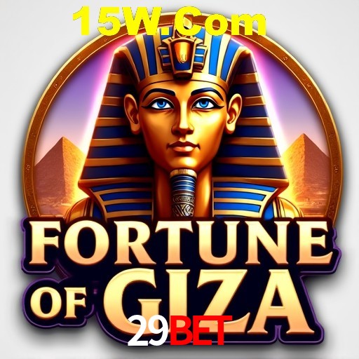 29Bet Rio de Janeiro - Bonus Terms